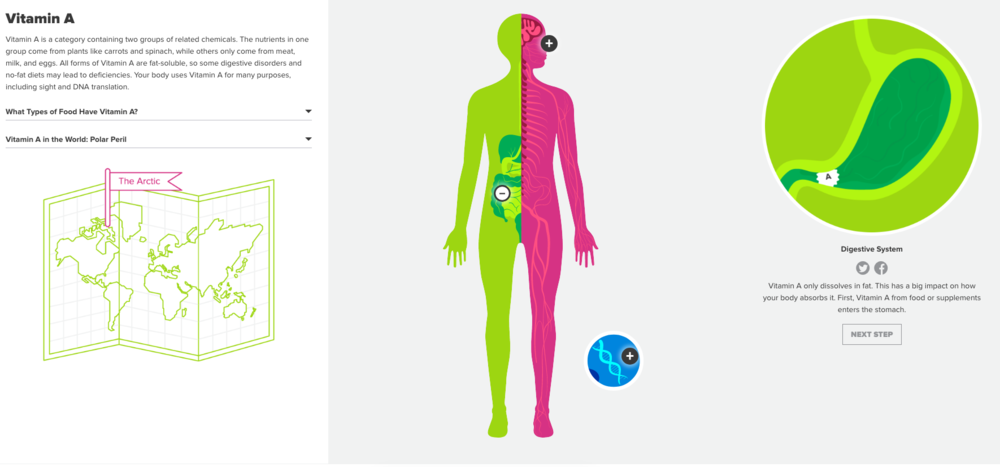 Human body