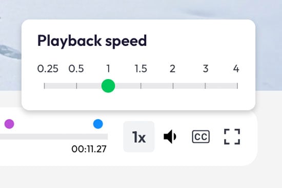 Blog-SpeedControls [v1]