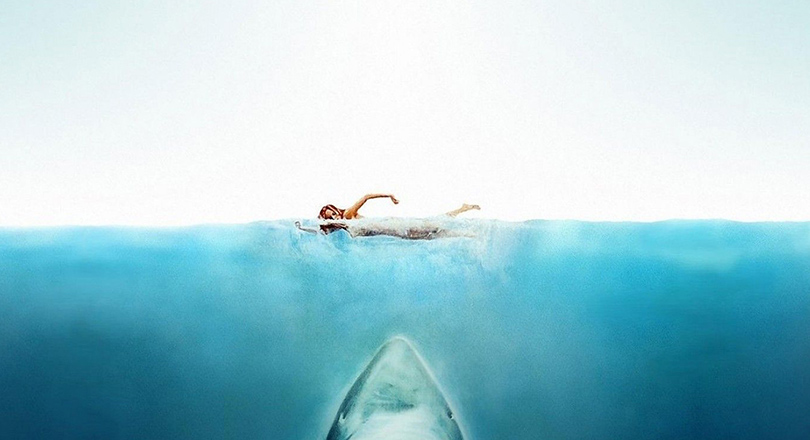 Lady swimming over shark